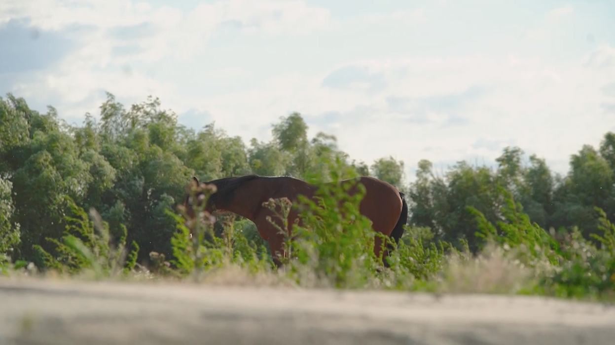 Древня фортеця, острови та особливий колорит: найкращі локації Бессарабії для осіннього вікенду